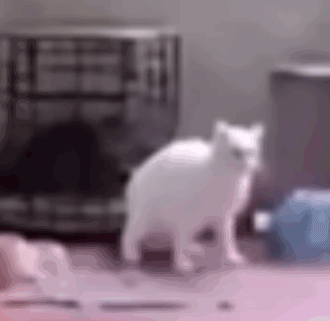 老吴老吴老吴老吴